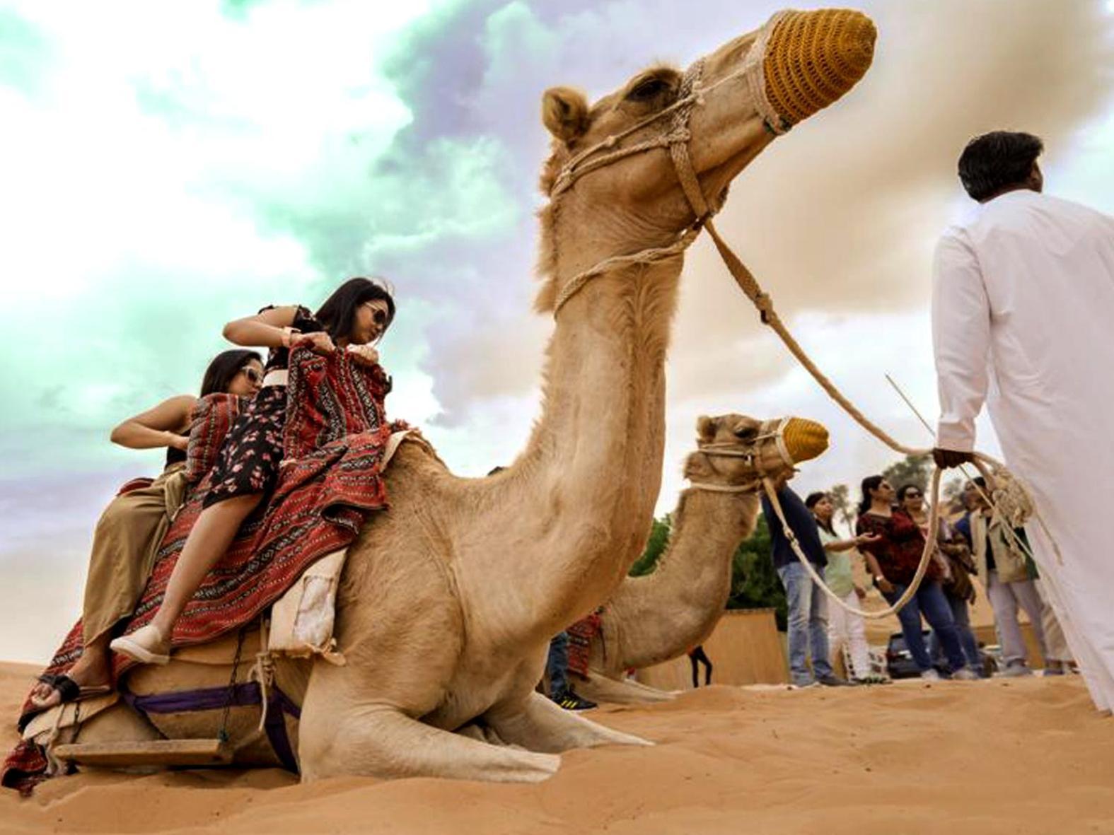 Bedouin Oasis Desert Camp- Ras Al Khaimah 외부 사진