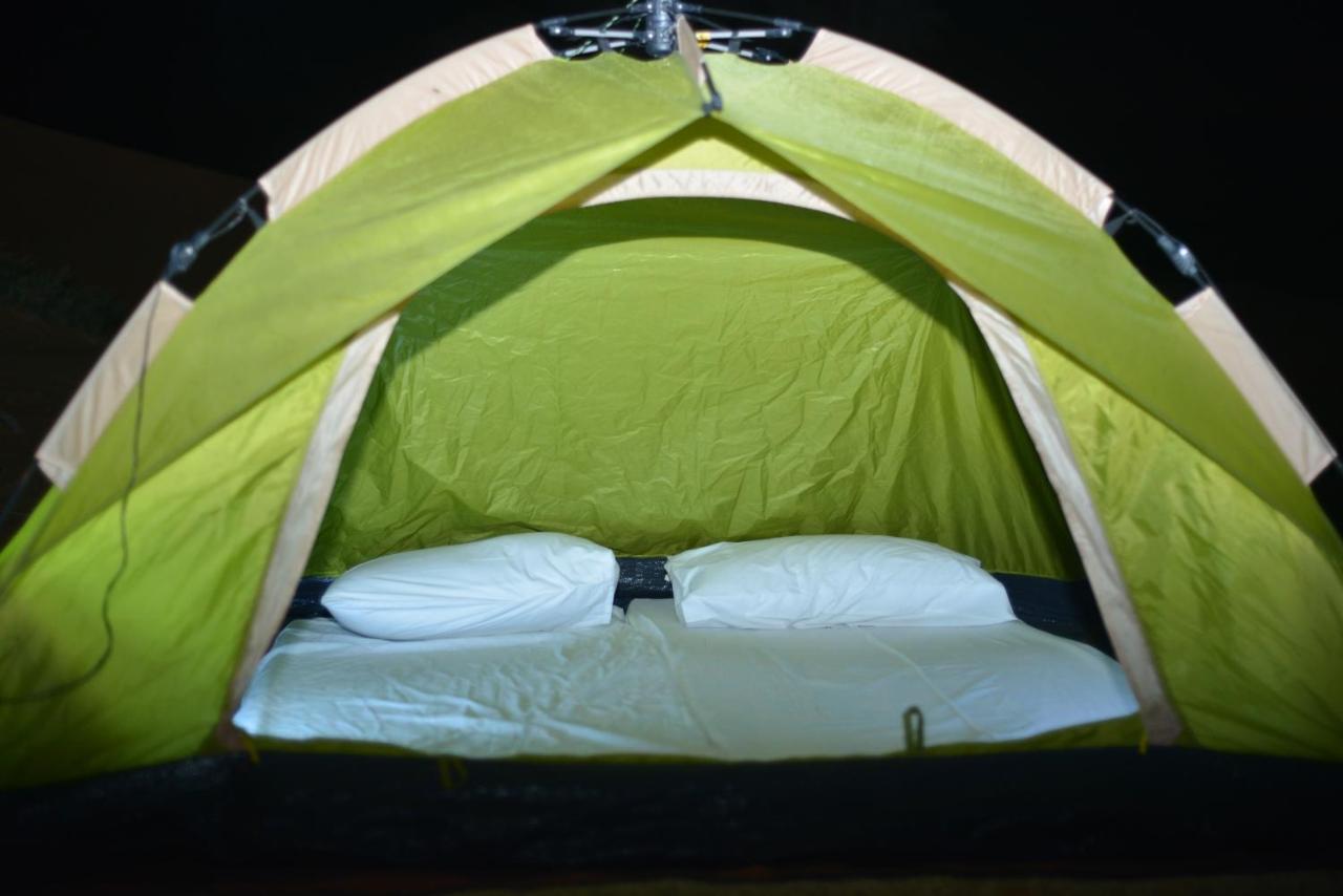 Bedouin Oasis Desert Camp- Ras Al Khaimah 외부 사진